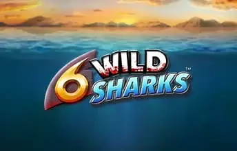 6 Wild Sharks artwork