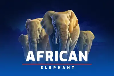 African Elephant artwork