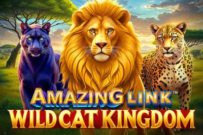 Amazing Link WildCat Kingdom artwork