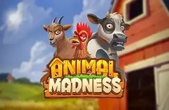 Animal Madness artwork