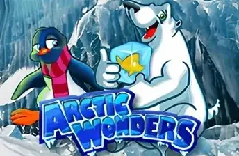 Arctic Wonders artwork