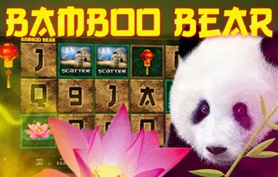 Bamboo Bear artwork