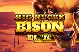 Big Bucks Bison 10K Ways artwork