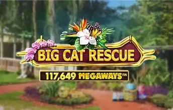 Big Cat Rescue Megaways artwork