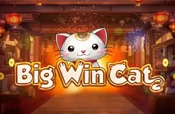 Big Win Cat artwork