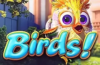 Birds! artwork