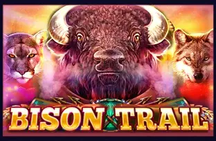 Bison Trail artwork