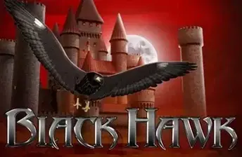 Black Hawk artwork