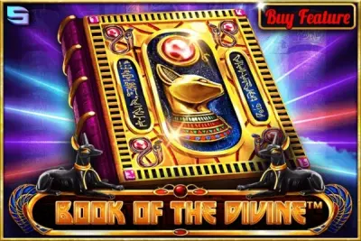 Book Of The Divine artwork