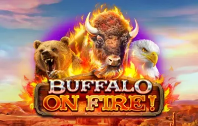Buffalo on Fire