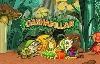Cashapillar artwork