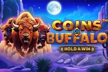 Coins of Buffalo artwork