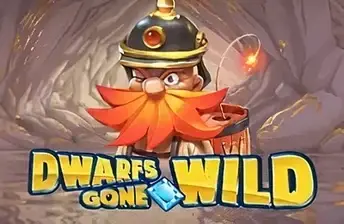 Dwarfs Gone Wild artwork