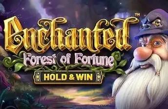 Enchanted: Forest of Fortune artwork