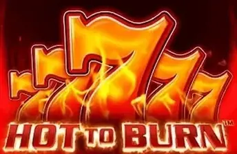 Hot to Burn artwork