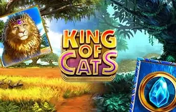 King of Cats artwork