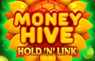 Money Hive Hold 'N' Link