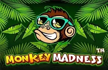 Monkey Madness artwork