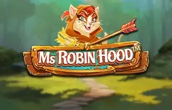 Ms Robin Hood artwork