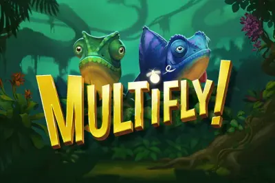 MultiFly! artwork
