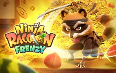 Ninja Raccoon Frenzy artwork