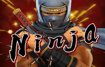 Ninja artwork