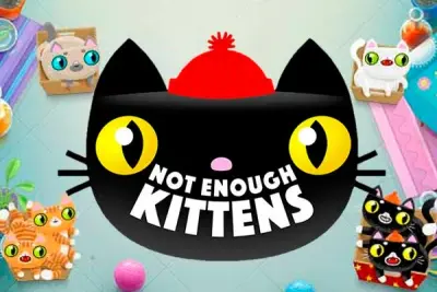 Not Enough Kittens artwork