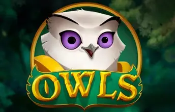 Owls artwork