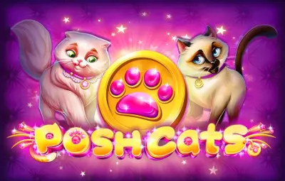 Posh Cats