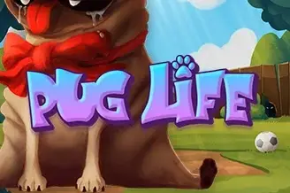 Pug Life