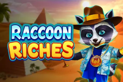 Raccoon Riches artwork
