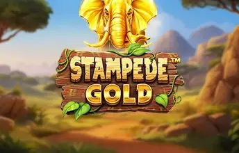 Stampede Gold artwork
