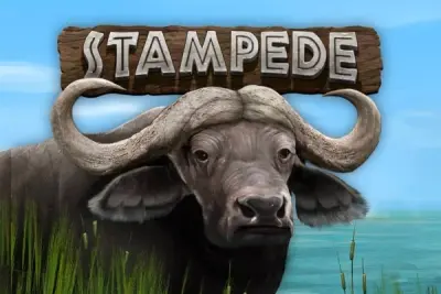 Stampede artwork