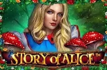 Story Of Alice artwork