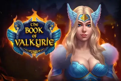 The Book of Valkyrie artwork