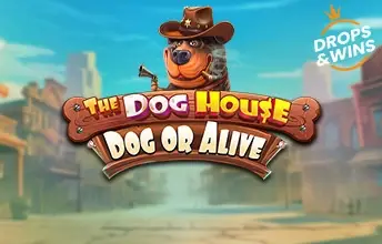 The Dog House - Dog or Alive