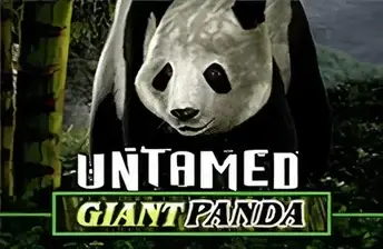 Untamed Giant Panda artwork