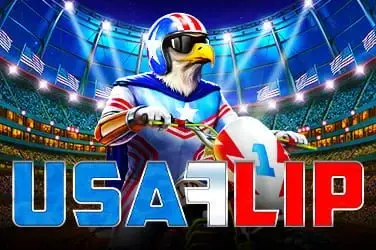 USA Flip artwork