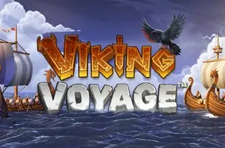 Viking Voyage artwork