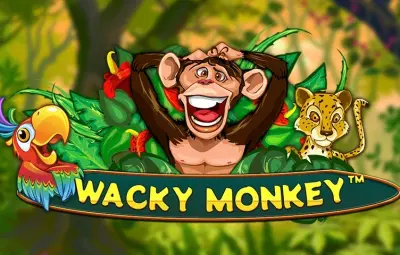 Wacky Monkey artwork
