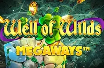 Well of Wilds Megaways artwork