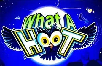 What A Hoot artwork