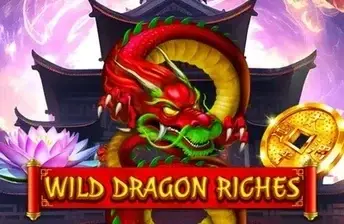 Wild Dragon Riches artwork