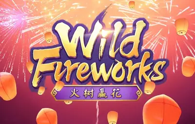 Wild Fireworks artwork