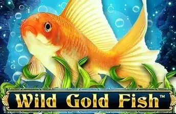 Wild Gold Fish artwork
