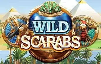 Wild Scarabs artwork