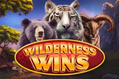 Wilderness Wins artwork