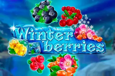 Winterberries