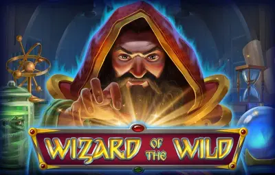 Wizard of the Wild artwork